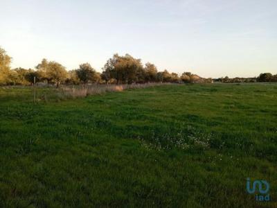 Annonce Vente Terrain Santarem