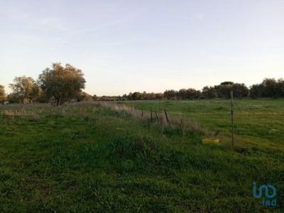 Acheter Terrain Santarem rgion SANTAREM