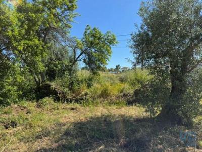 Annonce Vente Terrain Alem-da-ribeira