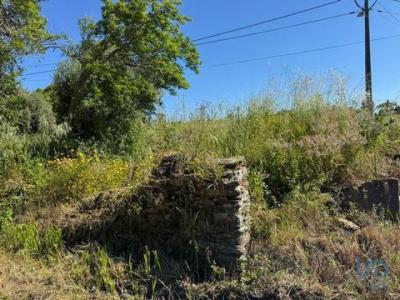 Acheter Terrain Alem-da-ribeira rgion SANTAREM