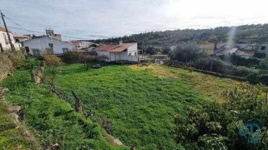 Acheter Maison 260 m2 Algodres