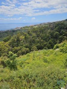 Annonce Vente Terrain Santa-cruz