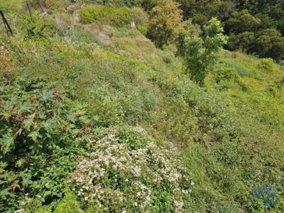 Acheter Terrain 3370 m2 Santa-cruz