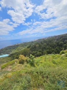 Acheter Terrain Santa-cruz rgion MADEIRA
