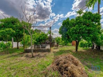 Acheter Terrain 1480 m2 Tomar