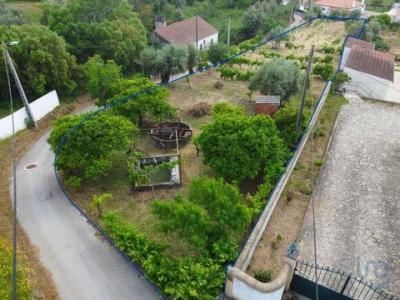 Acheter Terrain Tomar rgion SANTAREM
