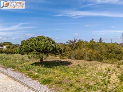 Acheter Terrain A-bidos