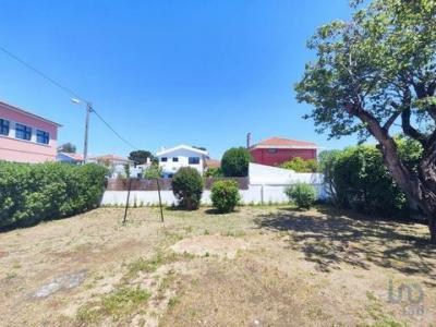 Louer Maison 260 m2 Cascais