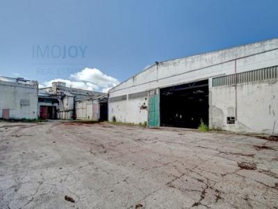 Location Local industriel Montijo ATALAIA-E-ALTO-ESTANQUEIRO-JARDIA 15