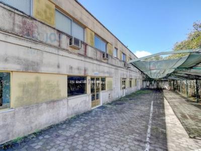 Annonce Location Local industriel Montijo
