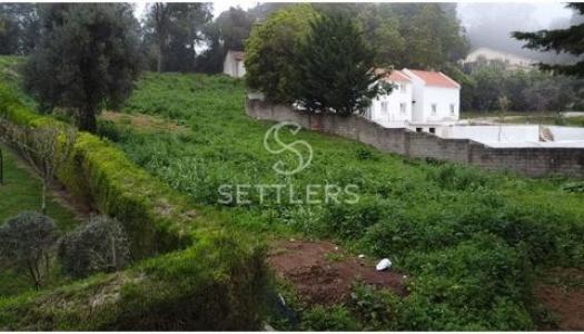 Annonce Vente Terrain Sintra