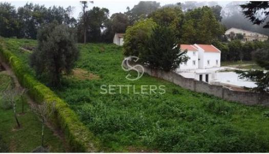 Acheter Terrain 2503 m2 Sintra