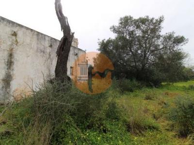 Acheter Terrain Olhao rgion FARO