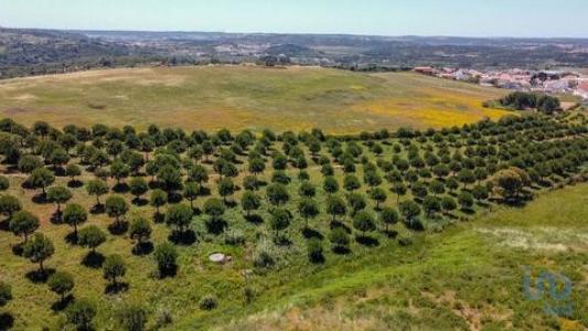 Acheter Terrain A-dos-negros rgion LEIRIA