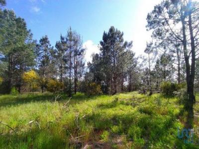 Acheter Terrain 198 m2 Aljezur