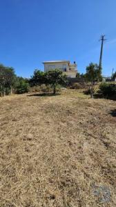Annonce Vente Terrain Almancil