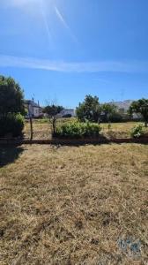 Acheter Terrain 1265 m2 Almancil