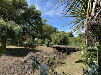 Annonce Vente Terrain Santarem