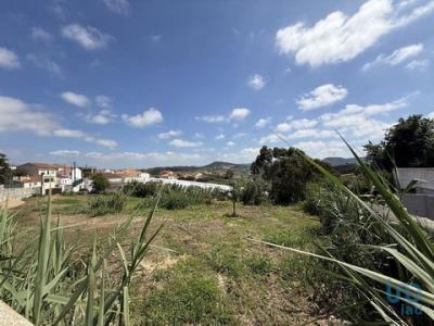 Acheter Terrain 2520 m2 Campelos