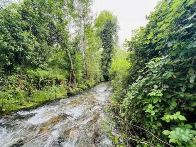 Annonce Vente Terrain Arganil