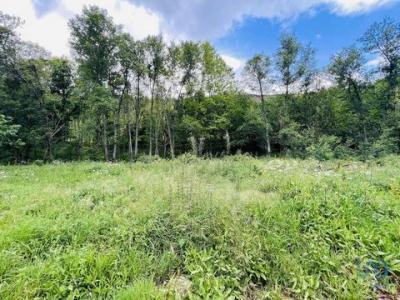 Acheter Terrain 5900 m2 Arganil