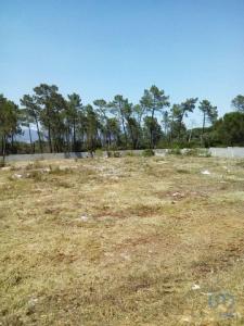 Annonce Vente Terrain Alcanena