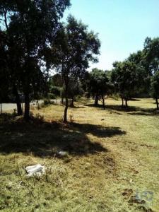 Acheter Terrain 5620 m2 Alcanena