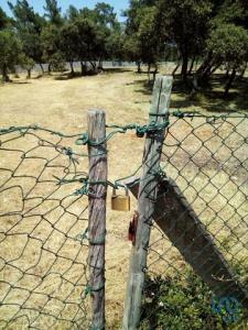 Acheter Terrain Alcanena rgion SANTAREM