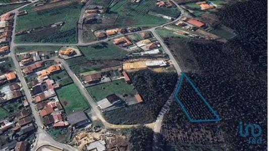 Annonce Vente Terrain Agueda