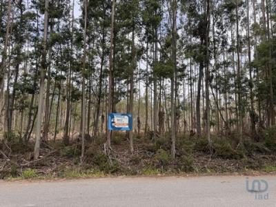 Acheter Terrain 2446 m2 Agueda