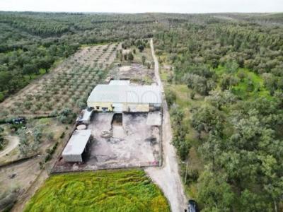 Acheter Local industriel 878 m2 Chamusca
