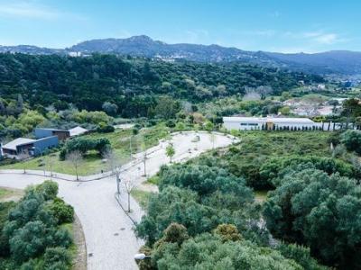 Acheter Terrain 432 m2 Sintra