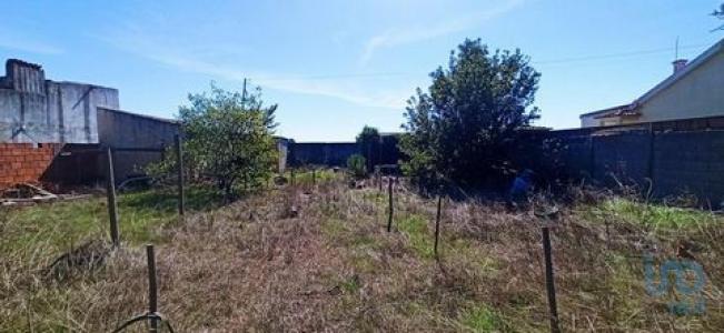 Acheter Maison Alpiarca rgion SANTAREM