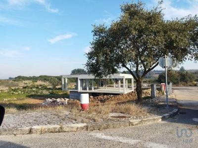 Annonce Vente Terrain Lourinha
