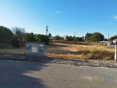 Acheter Terrain Lourinha rgion LISBOA