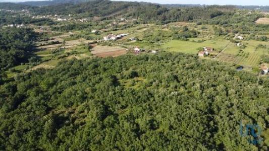 Acheter Terrain Ferreira-do-zezere rgion SANTAREM