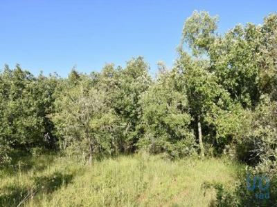 Acheter Terrain 1440 m2 Ferreira-do-zezere