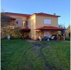 Vente Maison Gouveia SAO-PAIO 04