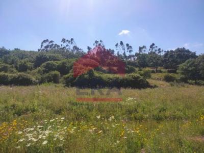 Vente Terrain Lourinha SAO-BARTOLOMEU-DOS-GALEGOS-E-MOLEDO 11 au Portugal