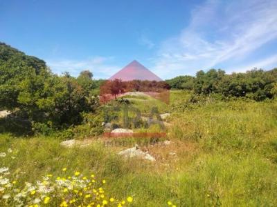 Annonce Vente Terrain Lourinha