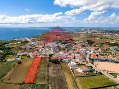 Annonce Vente Terrain Peniche