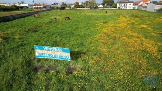 Annonce Vente Terrain Aveiro