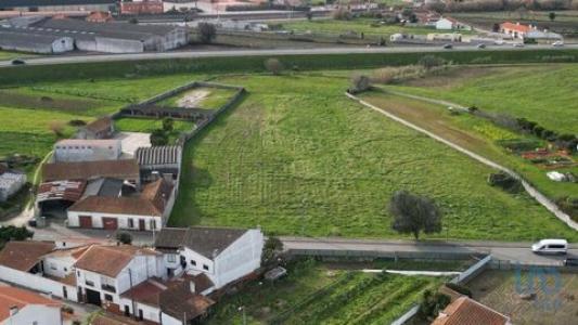 Acheter Terrain 9007 m2 Aveiro