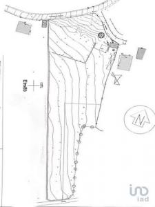 Acheter Terrain 7837 m2 Mancelos