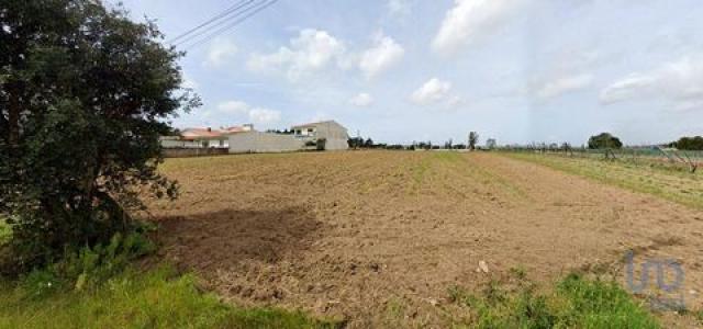 Annonce Vente Terrain Aveiro