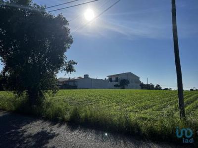 Acheter Terrain Aveiro rgion AVEIRO