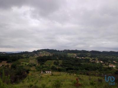 Acheter Terrain Leiria rgion LEIRIA