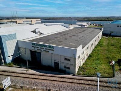 Acheter Local industriel Costa-nova-do-prado rgion AVEIRO