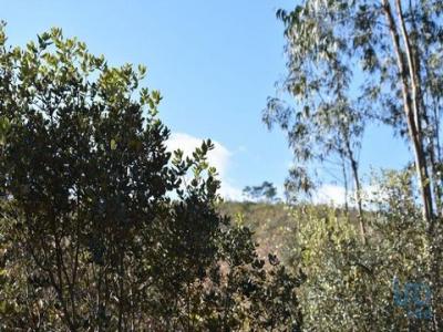 Annonce Vente Terrain Ferreira-do-zezere