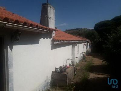 Acheter Maison Santiago-do-cacem rgion SETUBAL